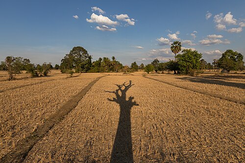 dry season