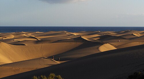 dune