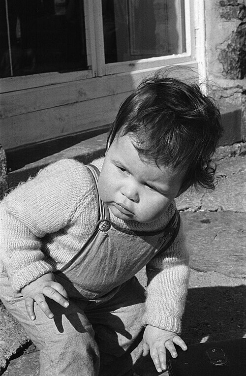 dungarees