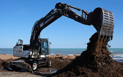 excavator