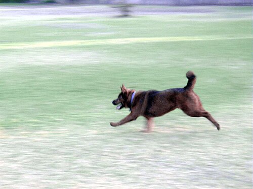 exuberance