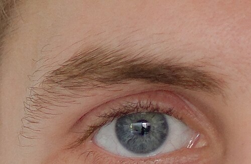 eyebrow