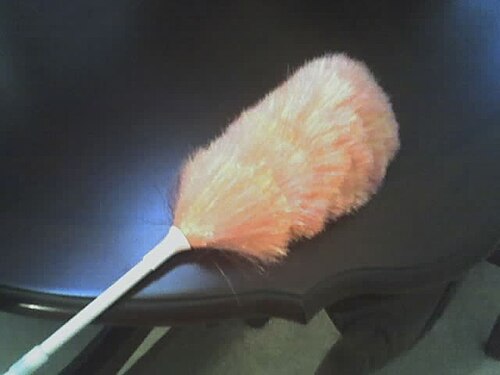 feather duster