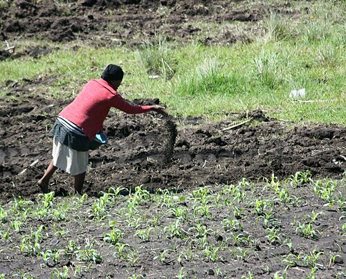 fertiliser