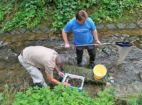 fieldwork