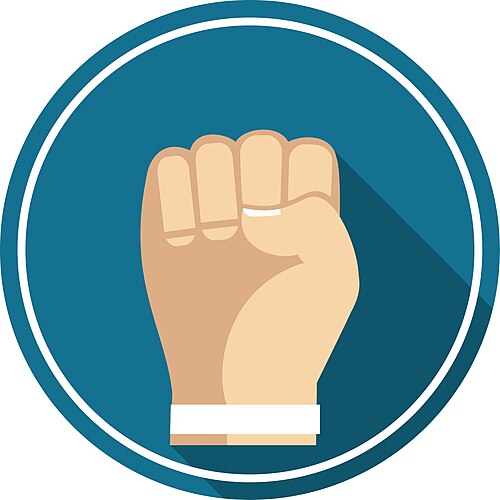 fist
