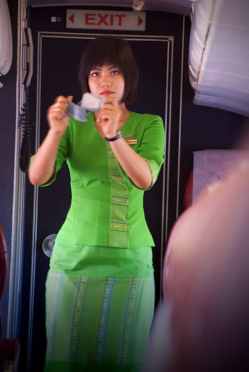 flight attendant