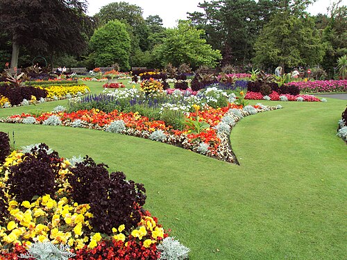 flowerbed