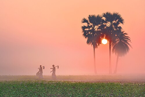 foggy