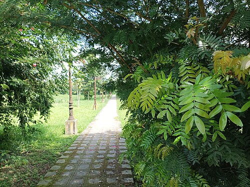footpath