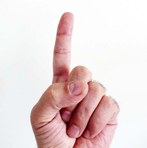 forefinger