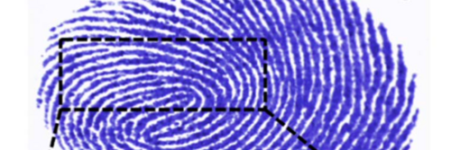 forensic