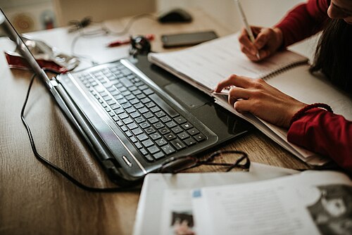 freelancer