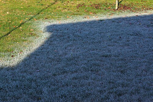 frost