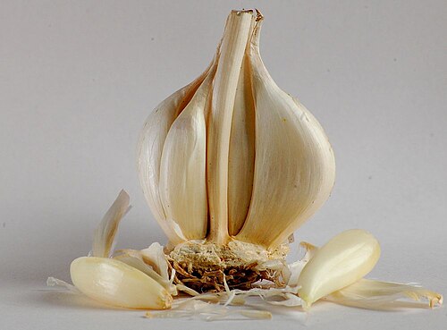 garlic