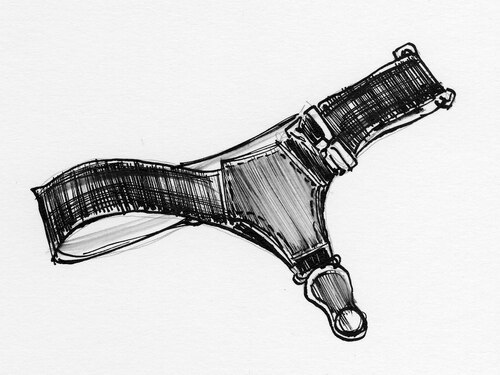 garter
