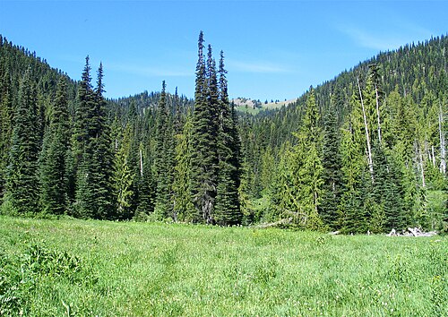 glade