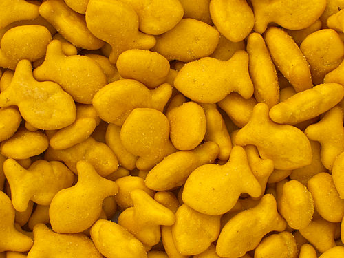 goldfish