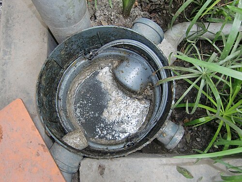 grease trap