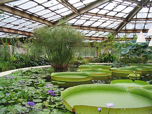 greenhouse