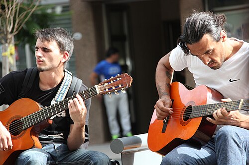 guitarist