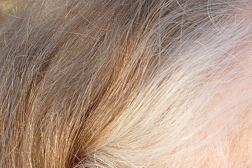 hair