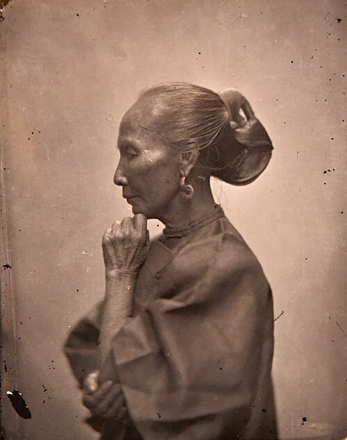 hairdo