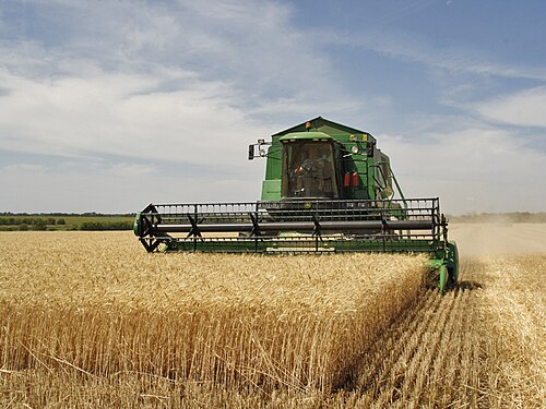 harvest time