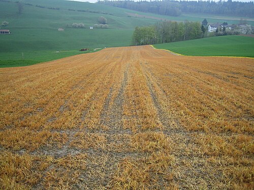 herbicide