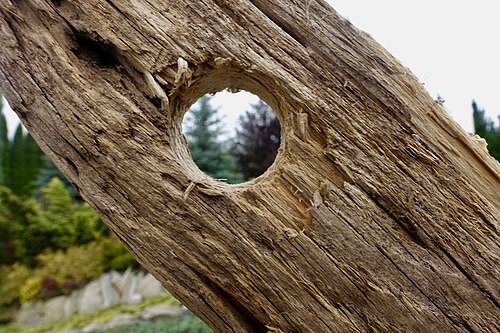 hole