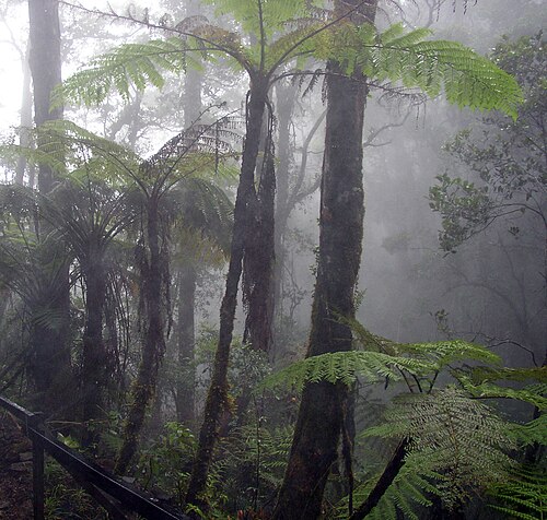 humid