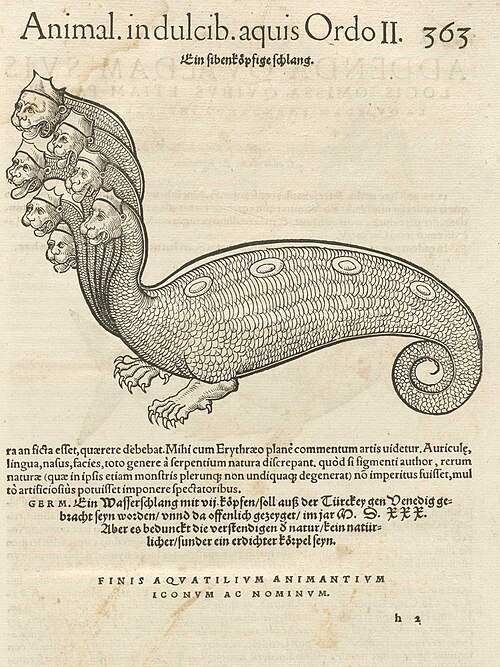 hydra