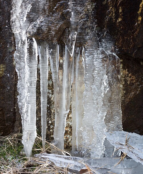 icicle