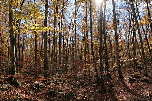 indian summer
