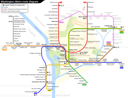 infographic