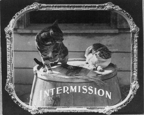 intermission