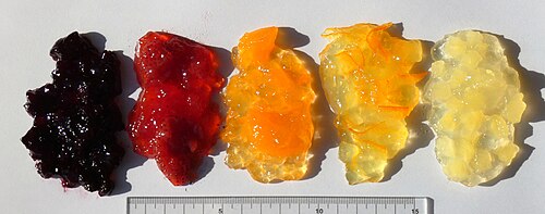 jam