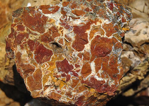 jasper