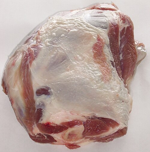 lamb