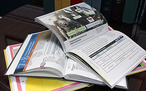 large print