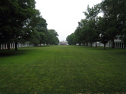lawn