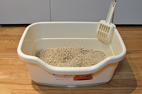 litter tray
