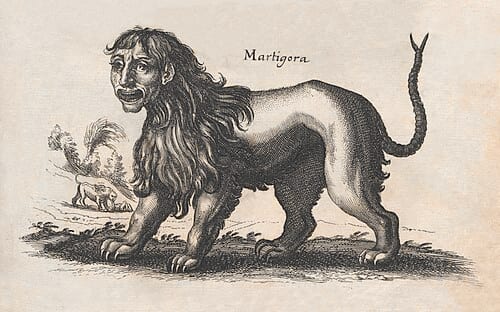 manticore
