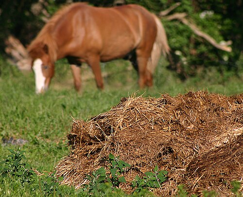 manure
