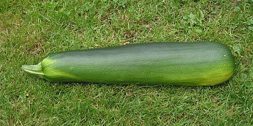marrow