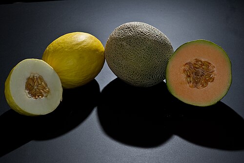 melon