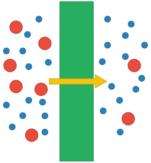 membrane