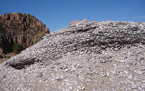 midden