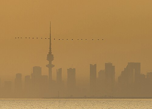 migration season
