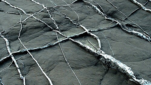 mineral vein